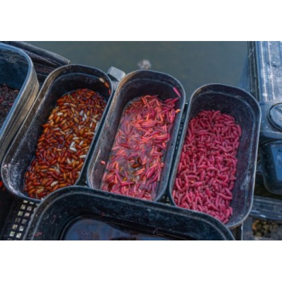 Cutie Momeli Guru Bait Box 1.1 Pint Orange (GBB009)